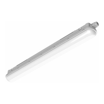 Philips Pila - technische LED-TL-armatuur LED/40W/230V 120 cm IP65