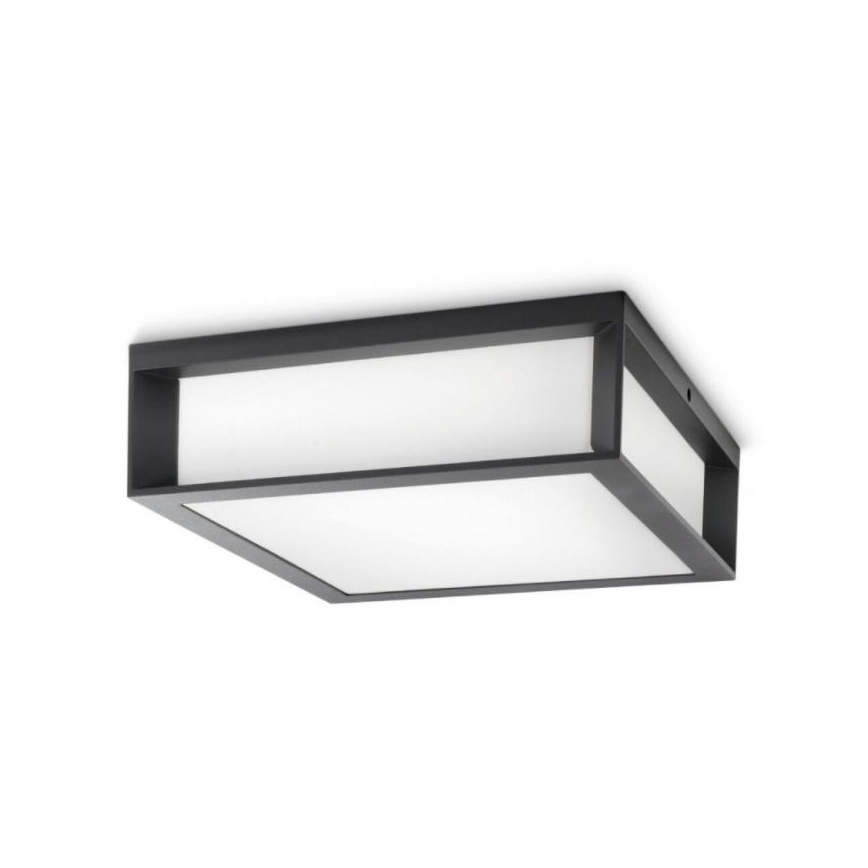 Philips - Plafond Lamp voor Buiten SKIES 2xE27/14W/230V IP44 antraciet