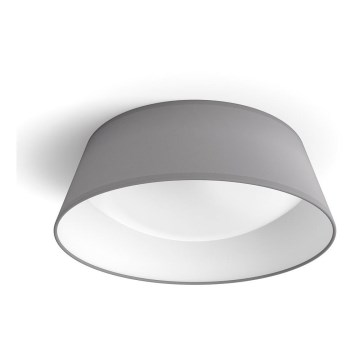 Philips - Plafonnier LED/14W/230V gris