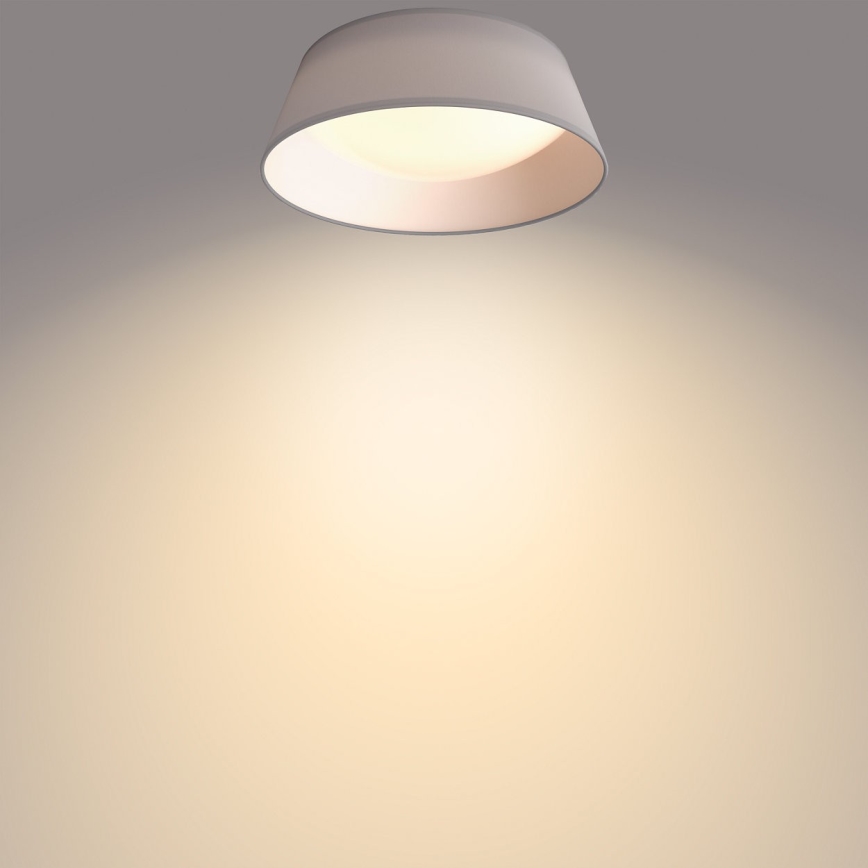 Philips - Plafonnier LED/14W/230V gris