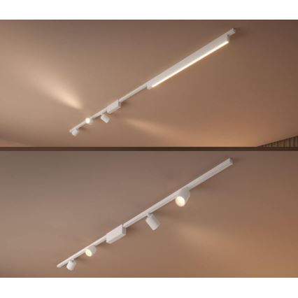 Philips  - SET 4x Dimbare LED RGB Spot voor een Rail Systeem PERIFO LED RGB/20,8W/230V 2000-6500K
