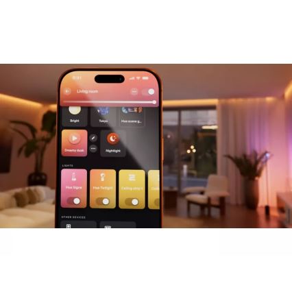 Philips - Set van 2 Hue-modules