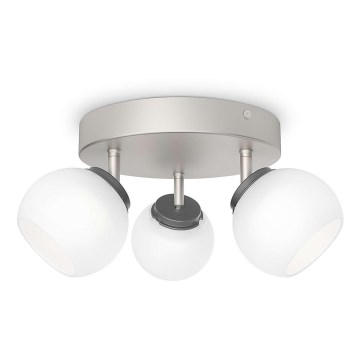 Philips - Spot 3xLED/4W/230V