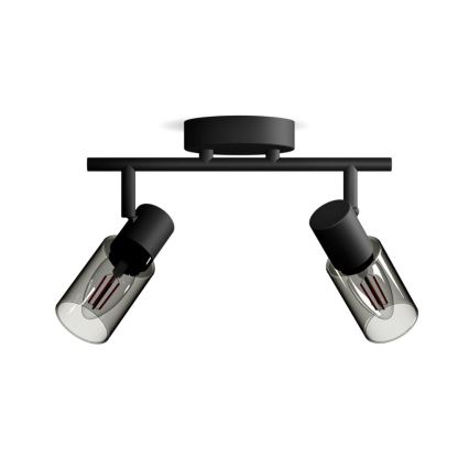 Philips - Spot PALMS 2xE14/25W/230V