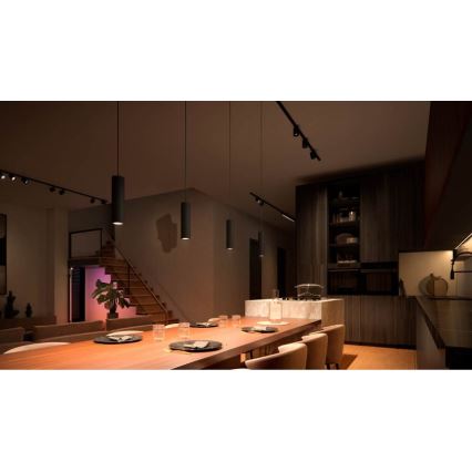 Philips - Suspension LED RGB dimmable sur câble pour système Hue sur rail PERIFO LED RGB/5,2W/24V 2000-6500K