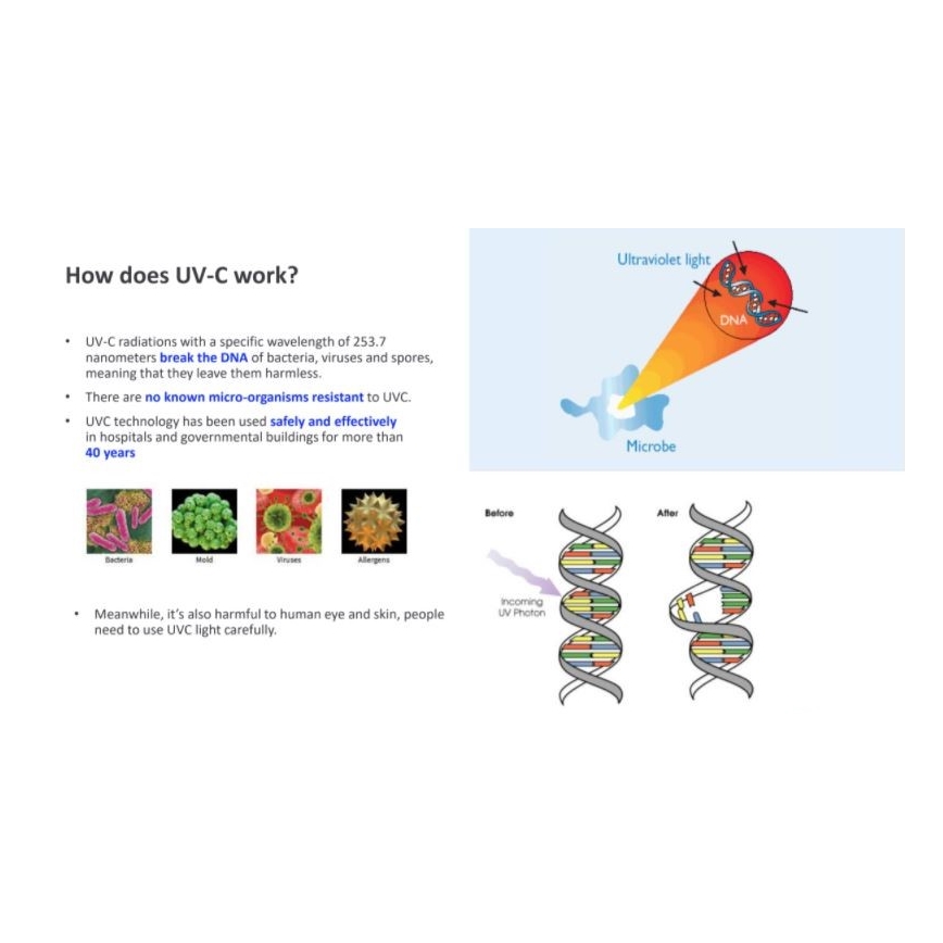 Philips - Desinfecterende germicidale lamp met UV-C sensor/24W/230V