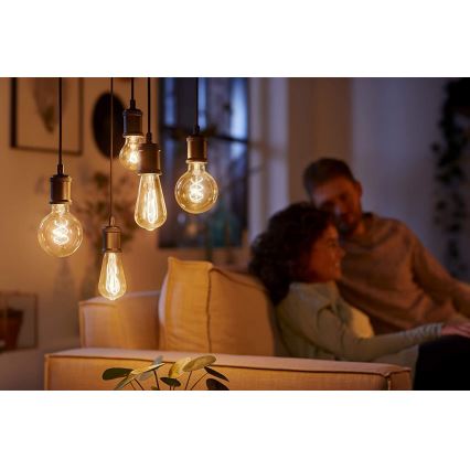 Dimbare LED-lamp VINTAGE Philips G93 E27/4W/230V 1800K