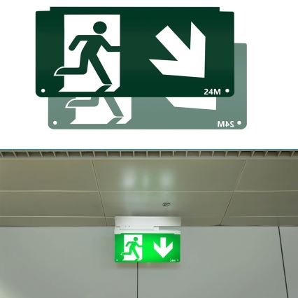 Pictogram voor noodverlichting 16,2x32,7 cm