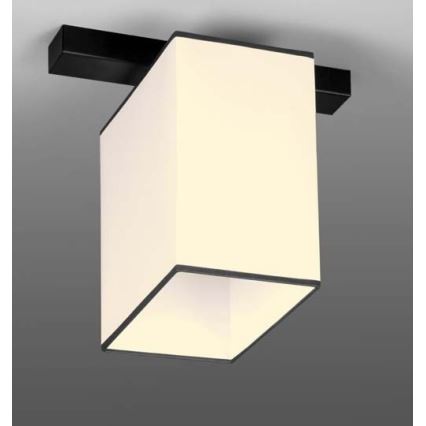 Plafond Lamp BACARA 1xE27/60W/230V