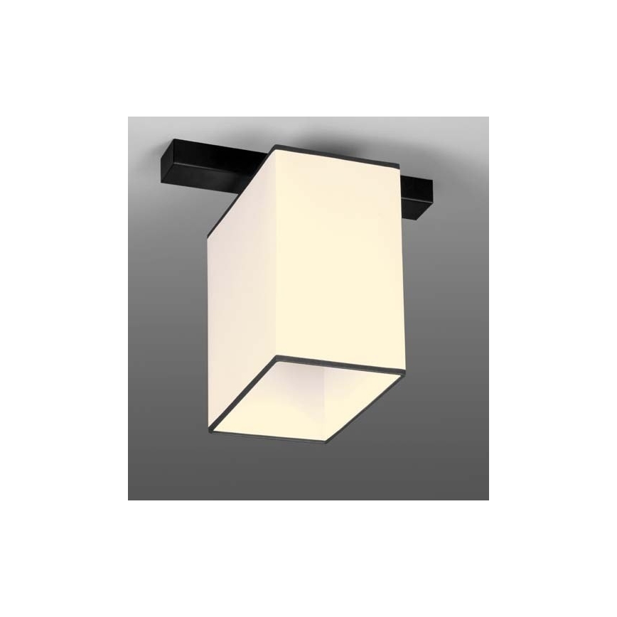 Plafond Lamp BACARA 1xE27/60W/230V