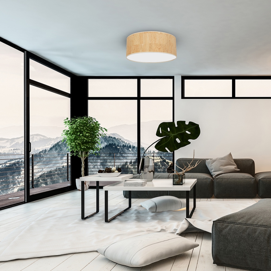 Plafond Lamp CORK 2xE27/60W/230V