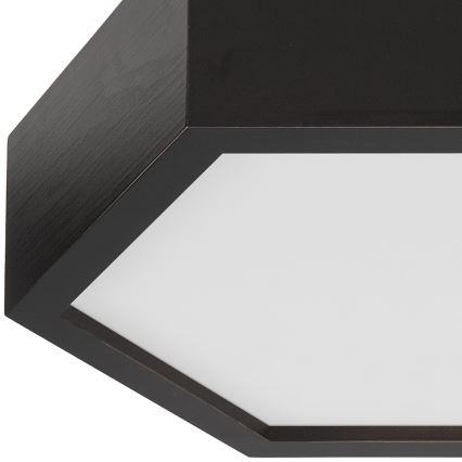 Plafond Lamp HEX 1xE27/60W/230V d. 32 cm dennen zwart