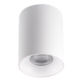 Plafond Lamp RITI 1xGU10/25W/230V wit