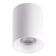 Plafond Lamp RITI 1xGU10/25W/230V wit