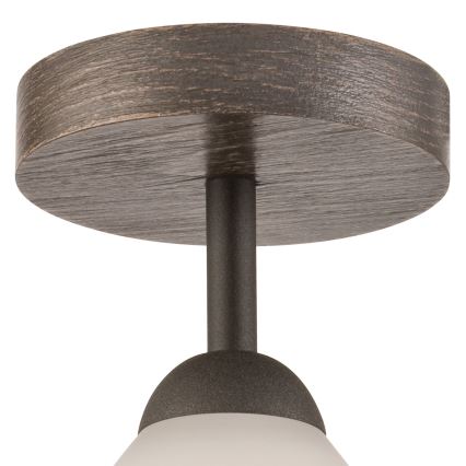 Opbouwlamp ADRIANO 1xE27/60W/230V beuk