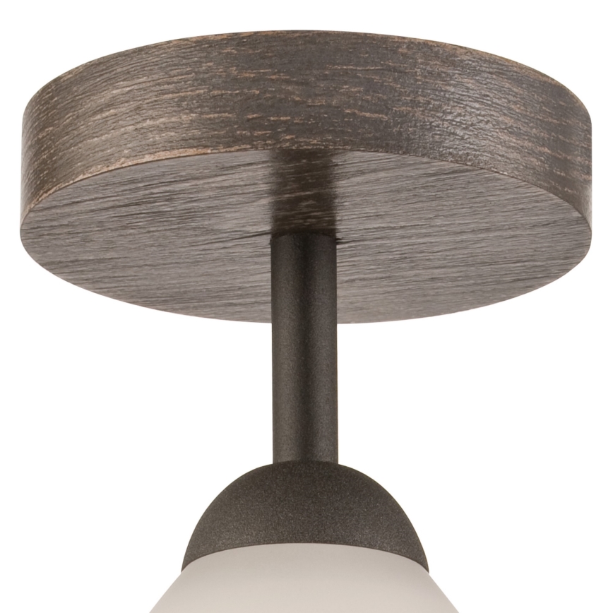 Opbouwlamp ADRIANO 1xE27/60W/230V beuk