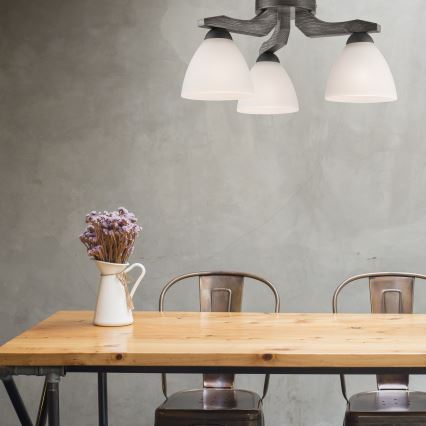 Opbouwlamp ADRIANO 3xE27/60W/230V beuk