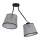 Plafondlamp ASTA 2xE27/60W/230V zwart