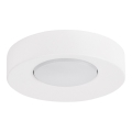 Plafondlamp BROS 1xGX53/12W/230V wit