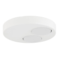 Plafondlamp BROS 2xGX53/12W/230V wit