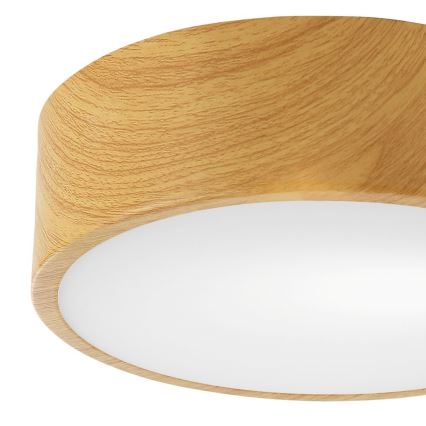 Plafondlamp DANTE 1xE27/60W/230V d. 26 cm