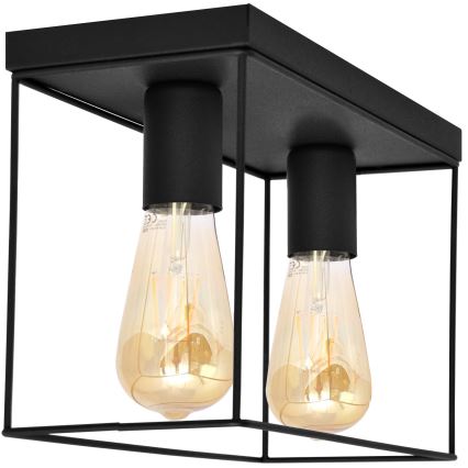 Plafondlamp FINN 2xE27/15W/230V zwart