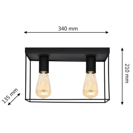Plafondlamp FINN 2xE27/15W/230V zwart
