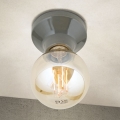 Plafondlamp FROST 1xE27/60W/230V grijs
