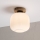 Plafondlamp HARMA WOOD 1xE27/15W/230V eik/wit Ø 20 cm