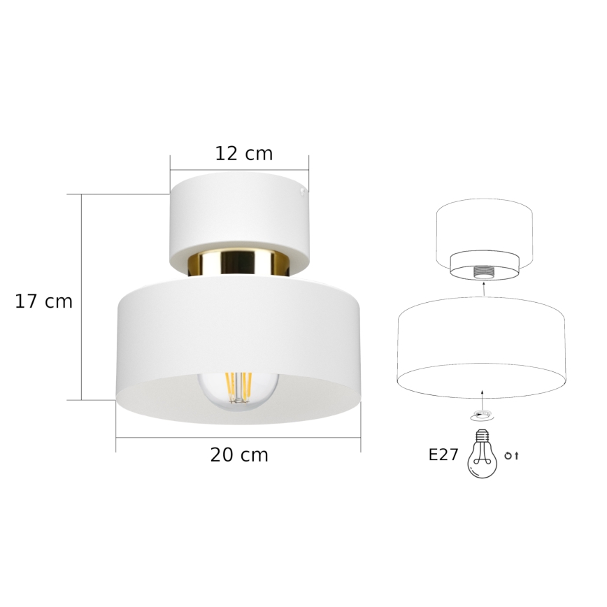 Plafondlamp IGNIA 1xE27/60W/230V wit