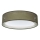 Plafondlamp PURO 2xE27/40W/230V Ø 60 cm groen