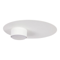 Plafondlamp STAR 1xGX53/12W/230V wit