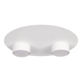 Plafondlamp STAR 2xGX53/12W/230V wit