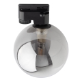 Plafondlamp voor 1-fase railsysteem TRACER 1xG9/8W/230V zwart/gerookt zwart