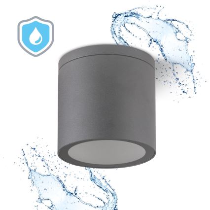 Plafondlamp voor buiten QUAZAR 1xGU10/20W/230V IP44