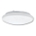 Plafondlamp voor buiten VICTOR 2xE27/60W/230V IP44