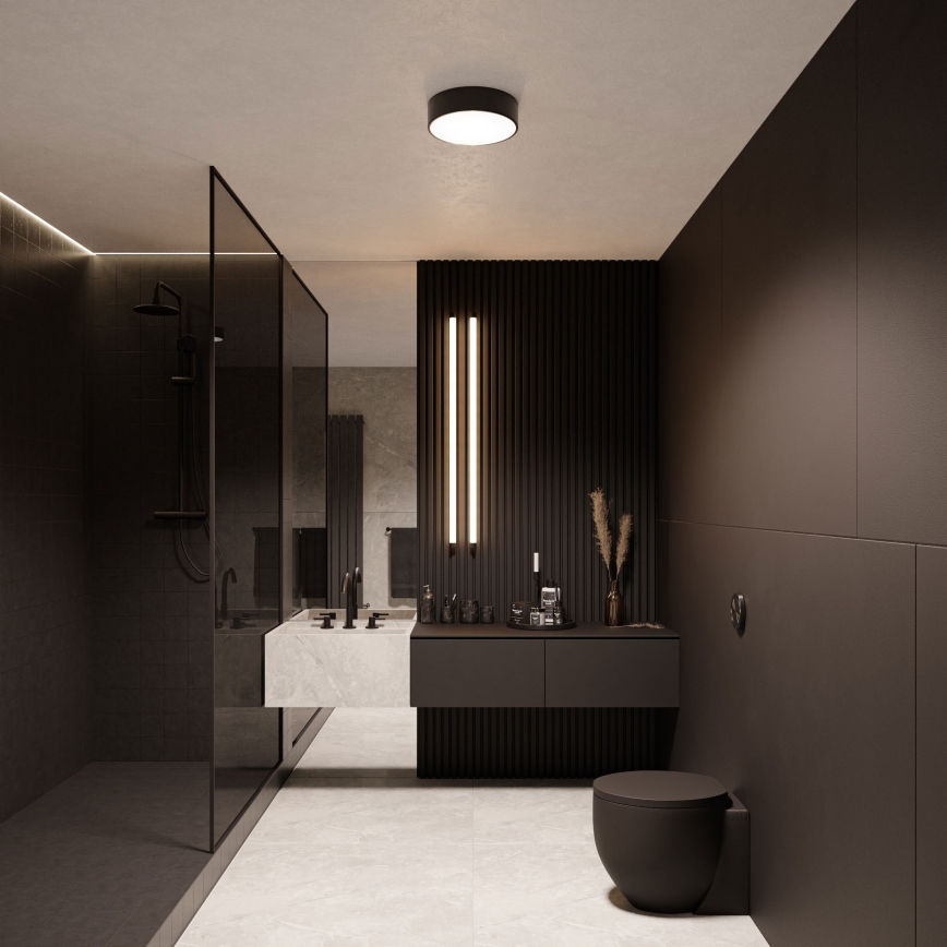 Plafondlamp voor de badkamer met sensor CLEO, 2xE27/24W/230V, Ø 30 cm, zwart, IP54