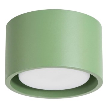 Plafondspot MODO 1xGX53/10W/230V groen