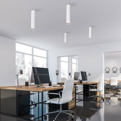 Plafondspot TUNE L 1xGU10/10W/230V 24 cm wit