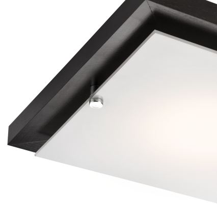 Plafonnier 1xE27/60W/230V pin