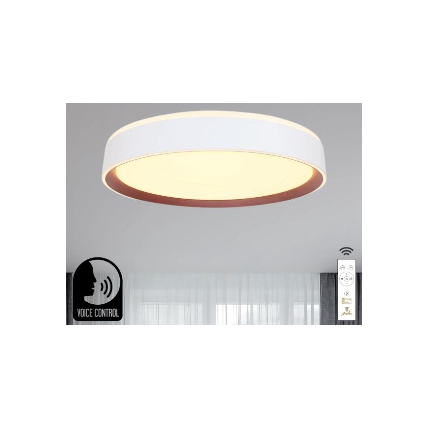 Plafonnier à intensité variable avec commande vocale OPAL LED/48W/230V 2700-6500K blanc + Télécommande