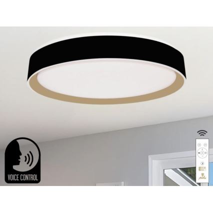 Plafonnier à intensité variable avec commande vocale OPAL LED/48W/230V 2700-6500K noir + Télécommande