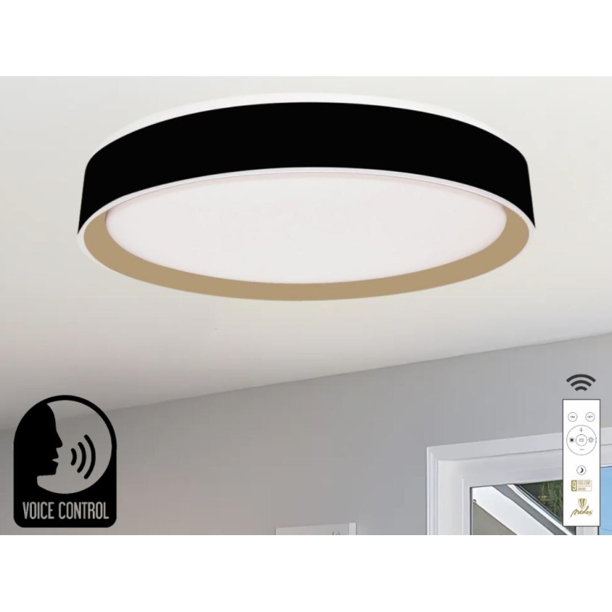 Plafonnier à intensité variable avec commande vocale OPAL LED/48W/230V 2700-6500K noir + Télécommande