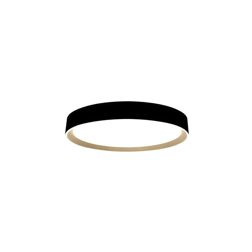 Plafonnier à intensité variable avec commande vocale OPAL LED/48W/230V 2700-6500K noir + Télécommande