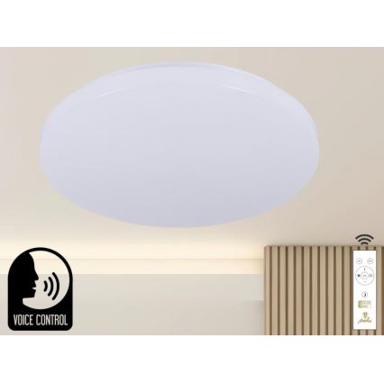 Plafonnier à intensité variable avec commande vocale OPAL LED/48W/230V 2700-6500K blanc + Télécommande