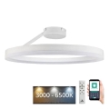Plafonnier à intensité variable LED/40W/230V 3000-6500K blanc + télécommande