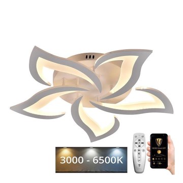 Plafonnier à intensité variable LED/55W/230V 3000-6500K + Télécommande