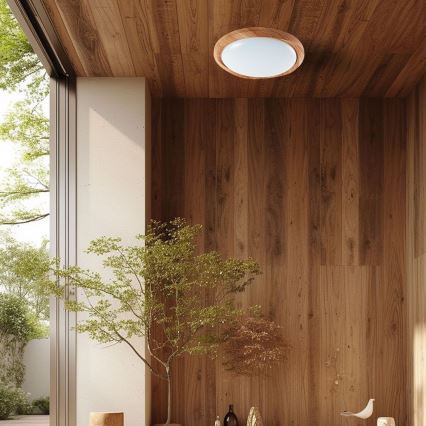 Plafonnier à intensité variable LED/60W/230V 3000-6500K d. 49 cm + Télécommande