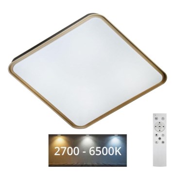 Plafonnier à intensité variable UNA LED/60W/230V 2700-6500K 50x50 cm + télécommande