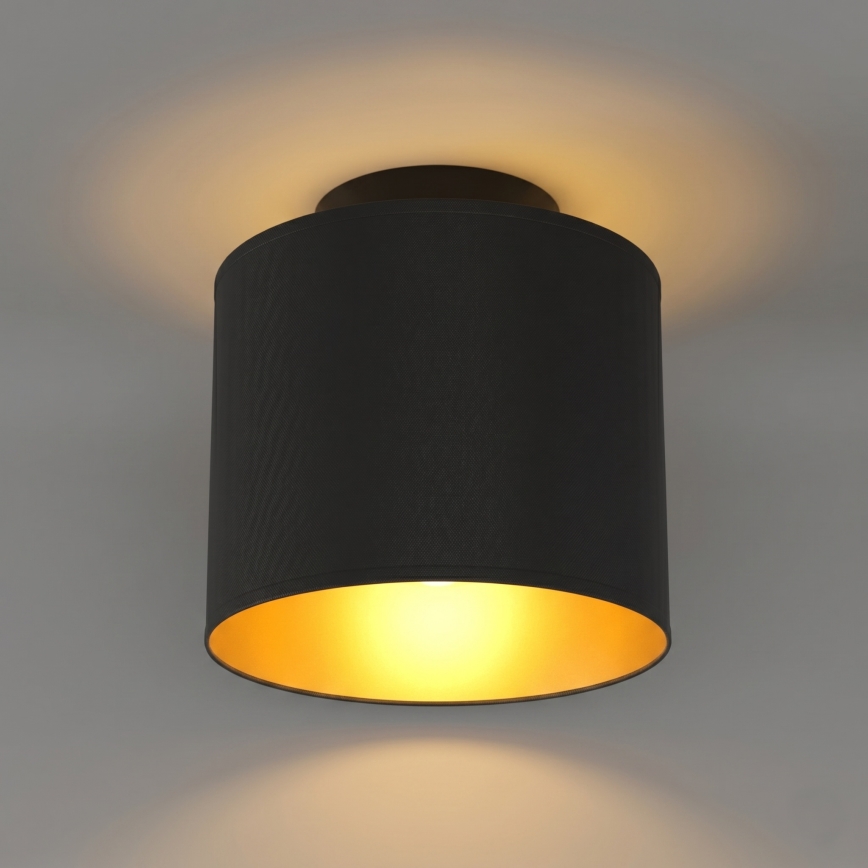 Plafonnier ARDEN 1xE27/15W/230V Ø 18 cm noir
